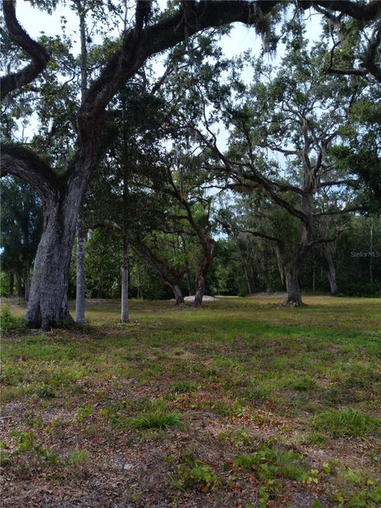 待售: $118,000 (0.76 acres)