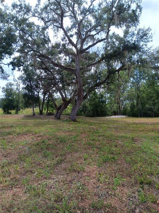 待售: $118,000 (0.76 acres)