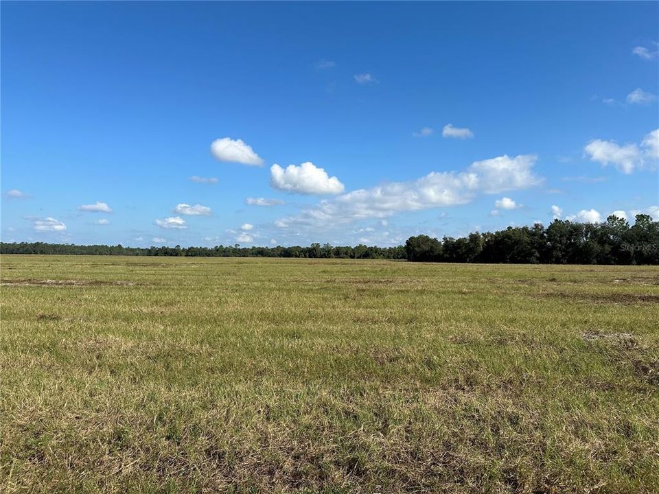 For Sale: $175,900 (12.38 acres)