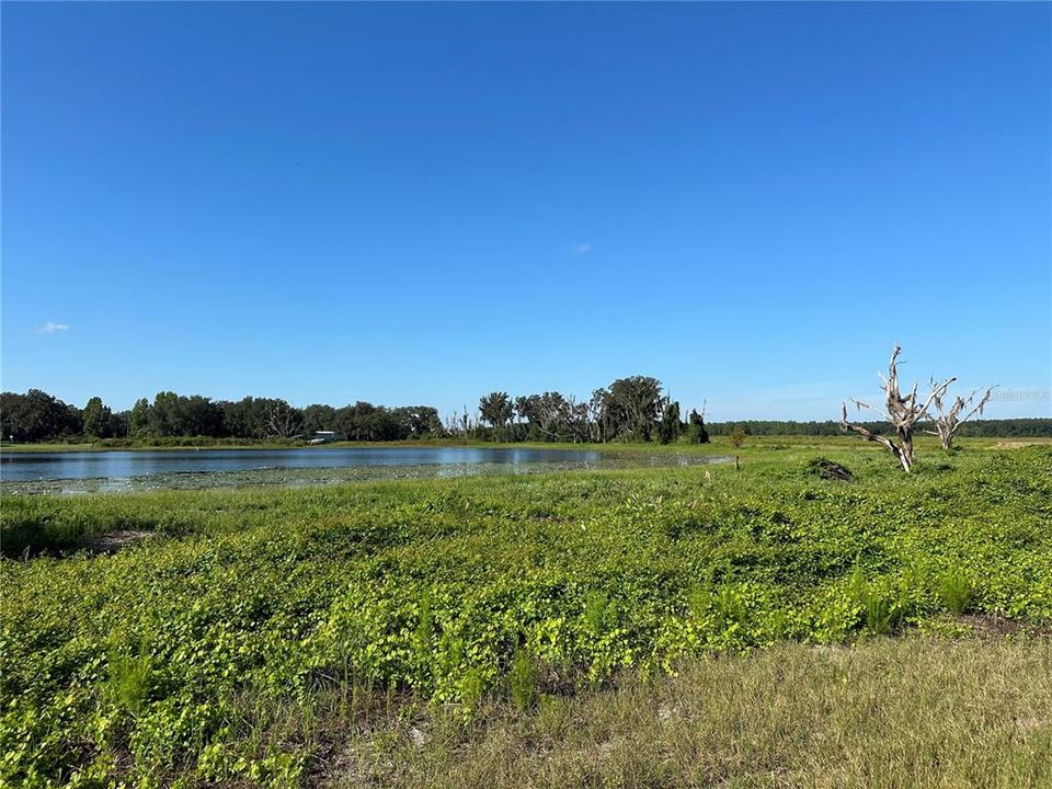 For Sale: $175,900 (12.38 acres)