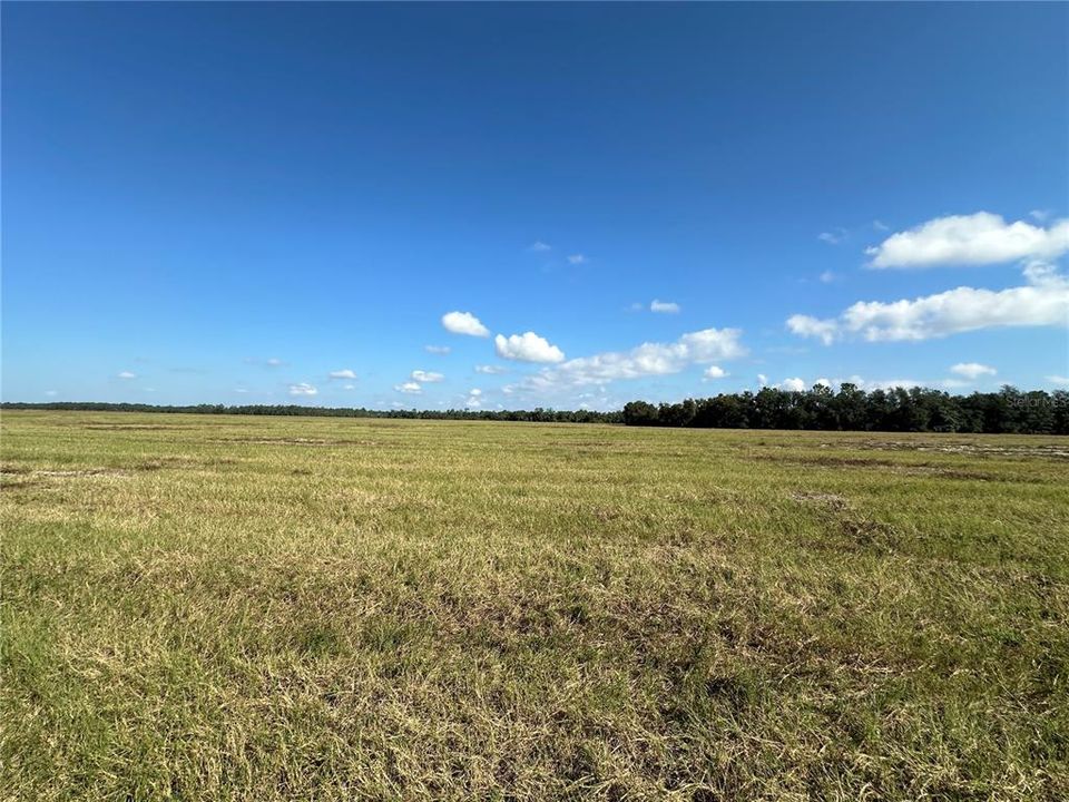 For Sale: $175,900 (12.38 acres)
