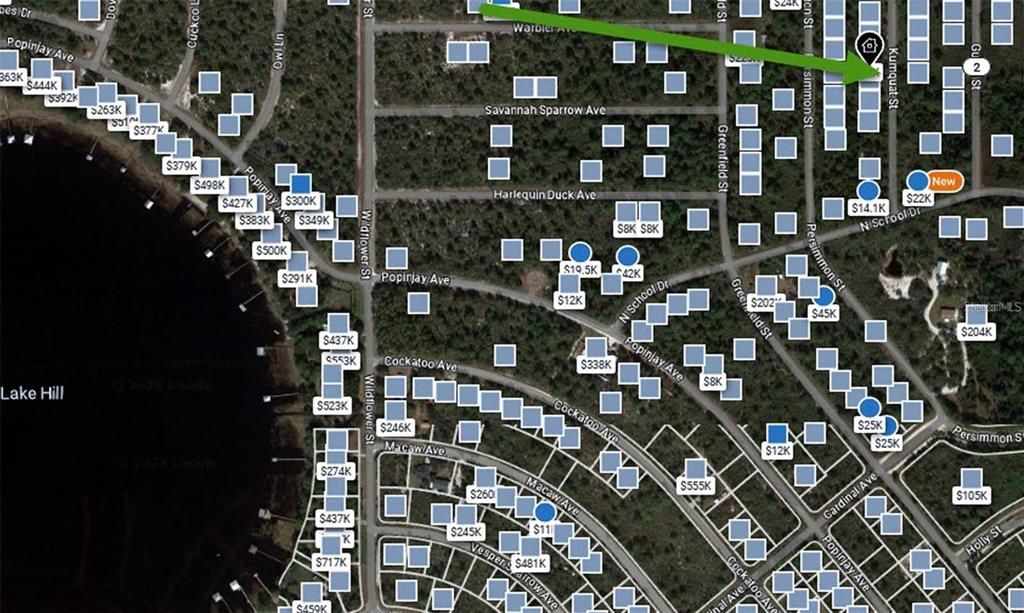 На продажу: $10,999 (0.23 acres)