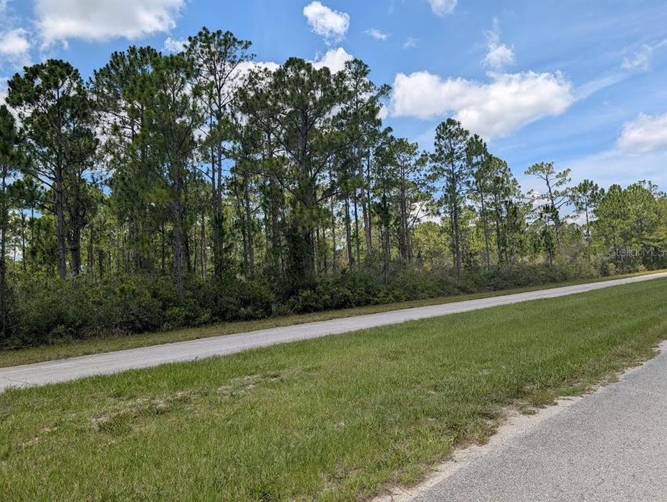 待售: $100,000 (1.00 acres)