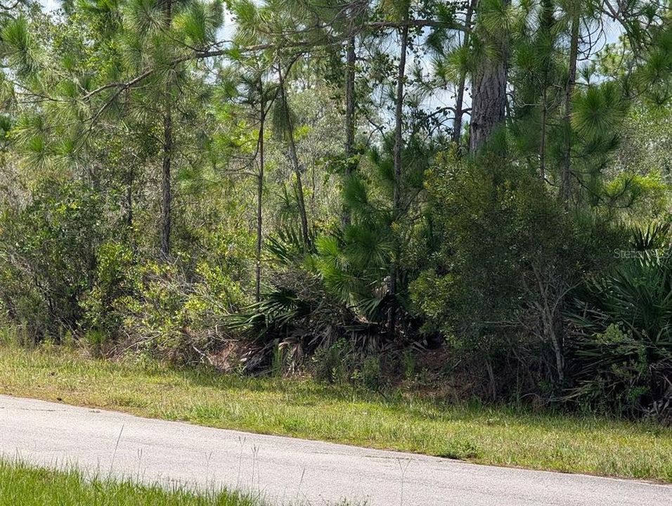 待售: $100,000 (1.00 acres)