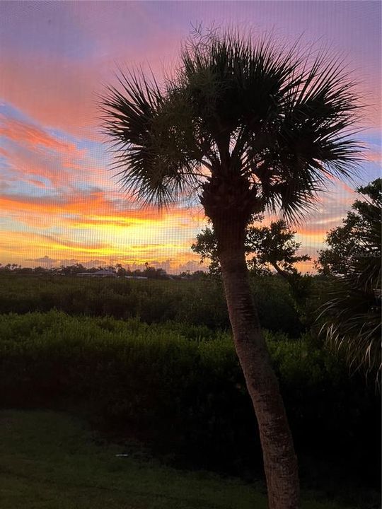 На продажу: $225,000 (2 спален, 2 ванн, 1031 Квадратных фут)