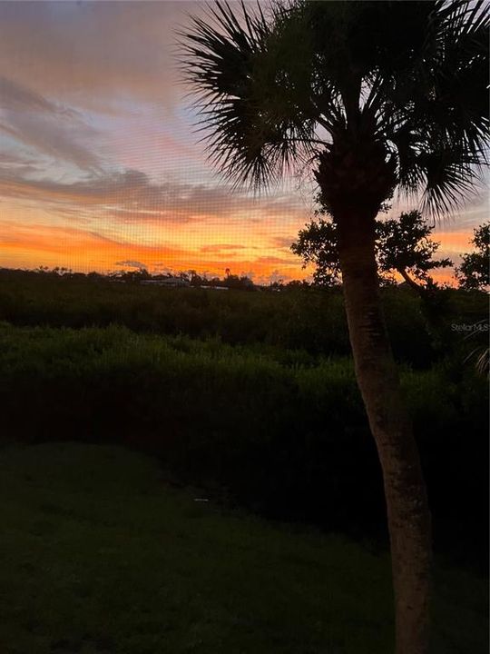 На продажу: $225,000 (2 спален, 2 ванн, 1031 Квадратных фут)