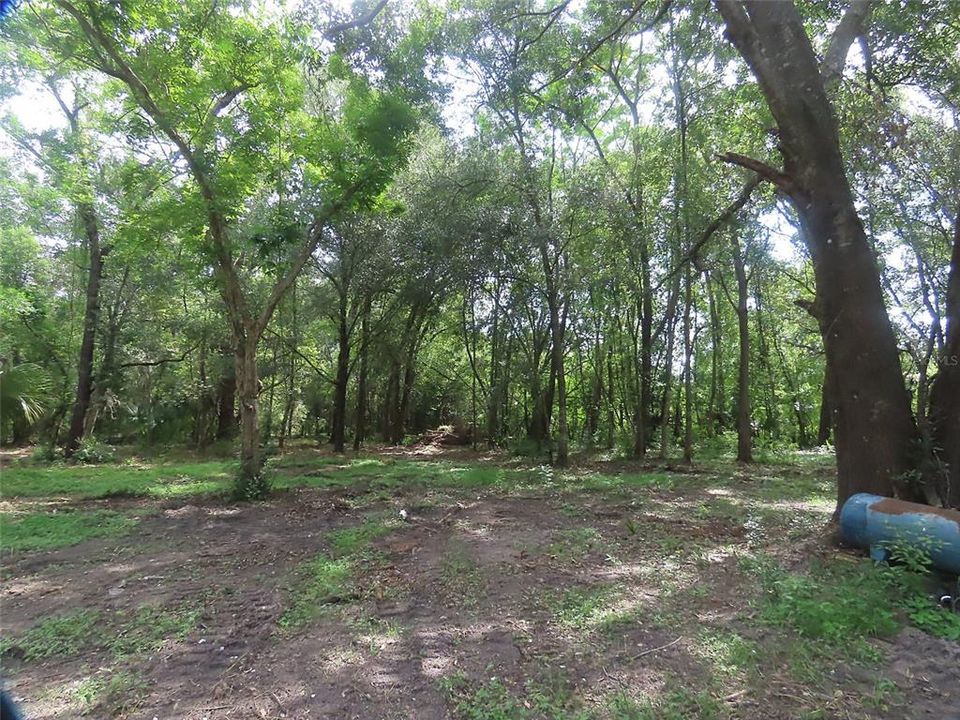 For Sale: $219,000 (1.50 acres)