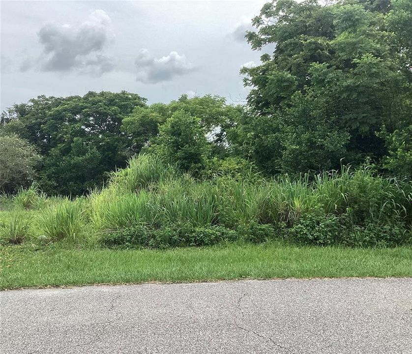 For Sale: $50,000 (0.22 acres)