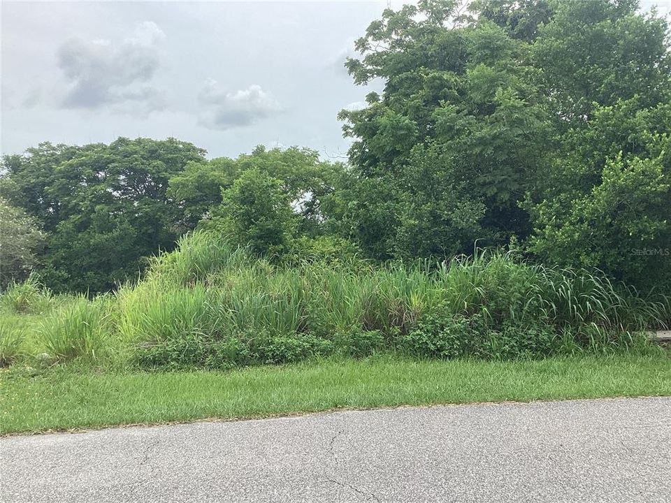 For Sale: $50,000 (0.22 acres)