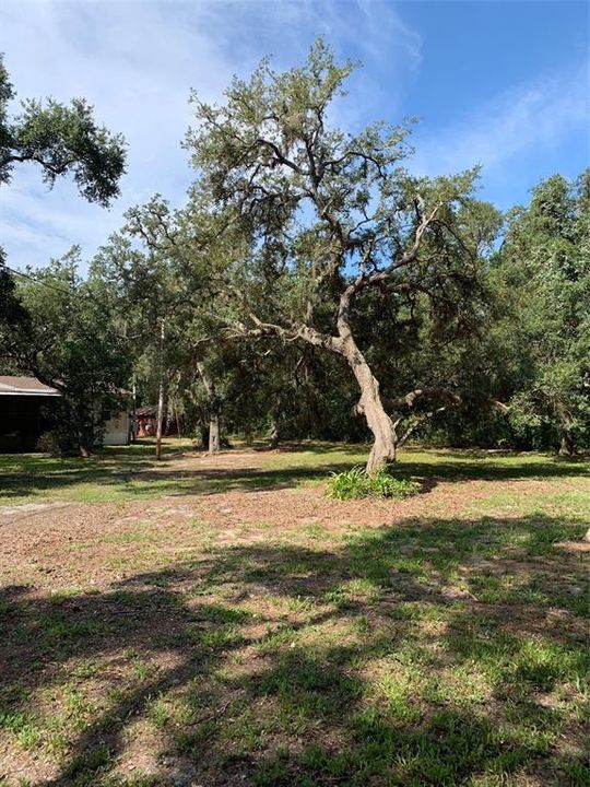 На продажу: $269,900 (4 спален, 2 ванн, 2280 Квадратных фут)