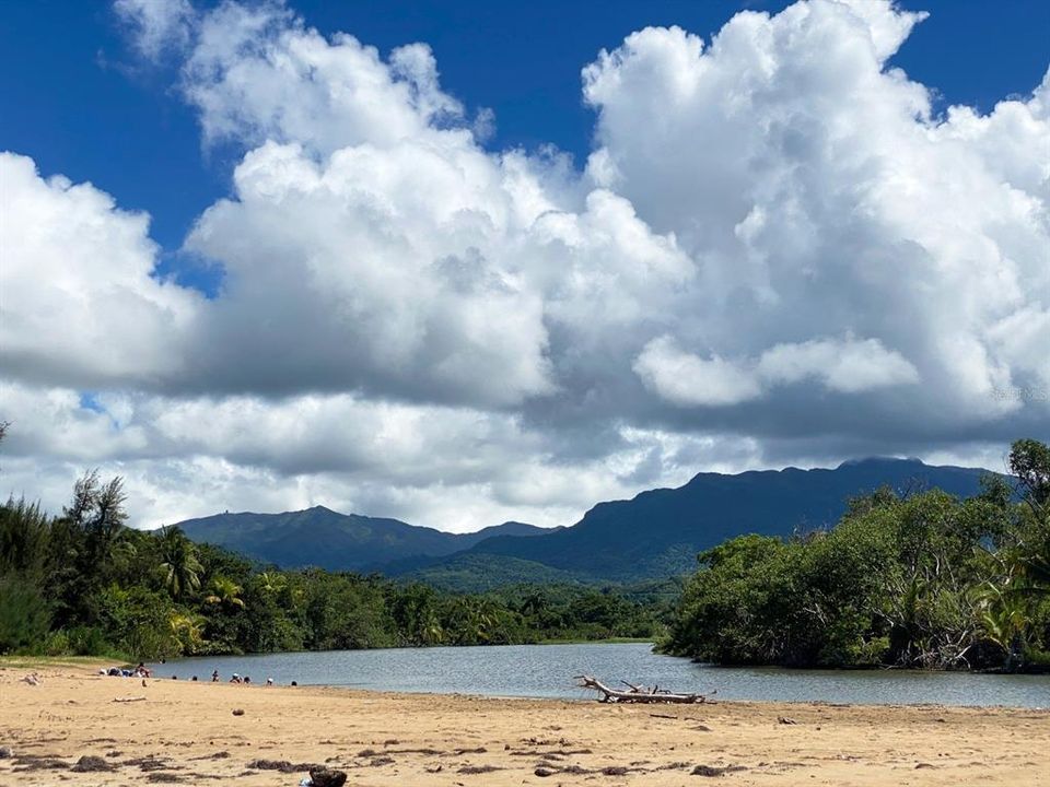 Active With Contract: $630,000 (2 beds, 3 baths, 2152 Square Feet)