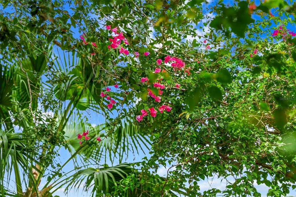 Active With Contract: $2,190,000 (3 beds, 3 baths, 4444 Square Feet)