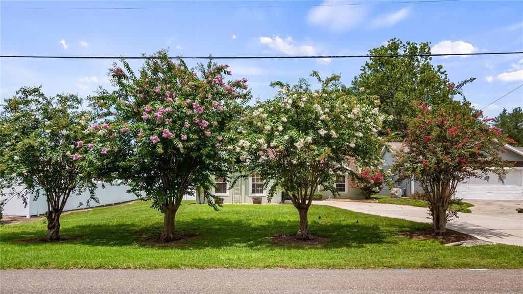 For Sale: $369,000 (3 beds, 2 baths, 1184 Square Feet)