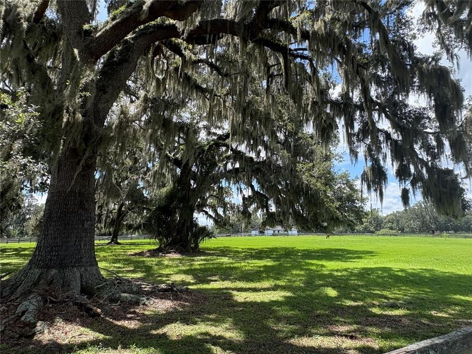 На продажу: $1,375,000 (3 спален, 2 ванн, 3444 Квадратных фут)