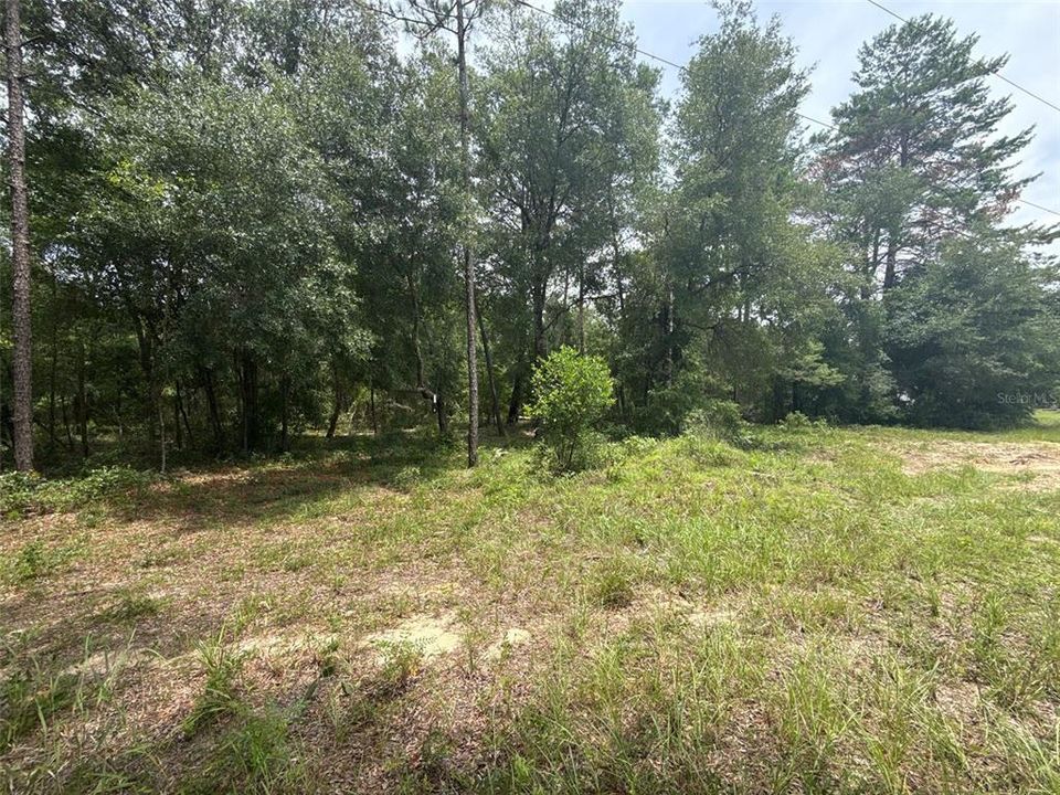 待售: $38,000 (0.46 acres)