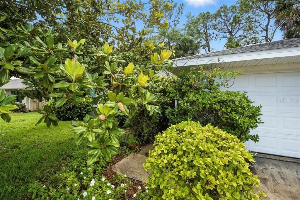 На продажу: $315,900 (3 спален, 2 ванн, 1355 Квадратных фут)