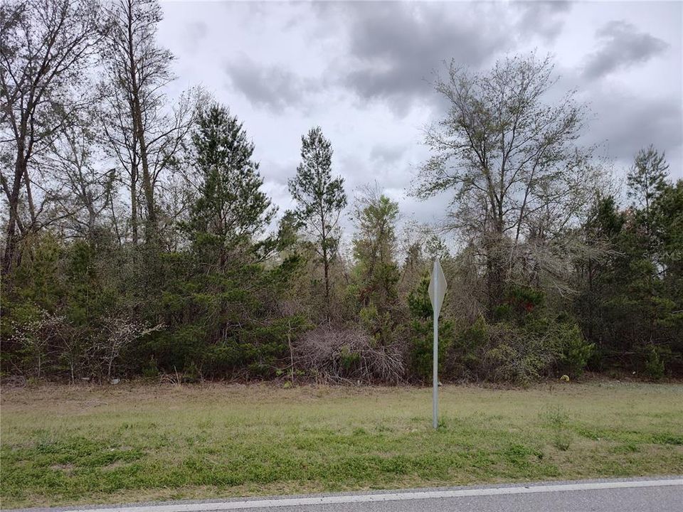 На продажу: $290,000 (41.15 acres)