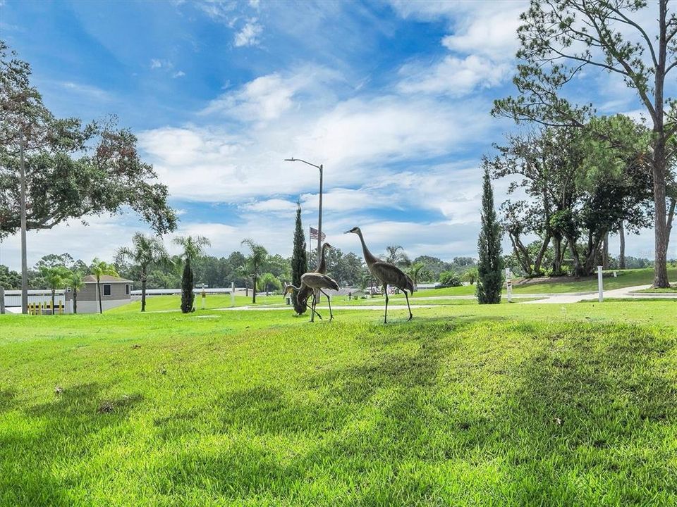 待售: $59,900 (0.07 acres)