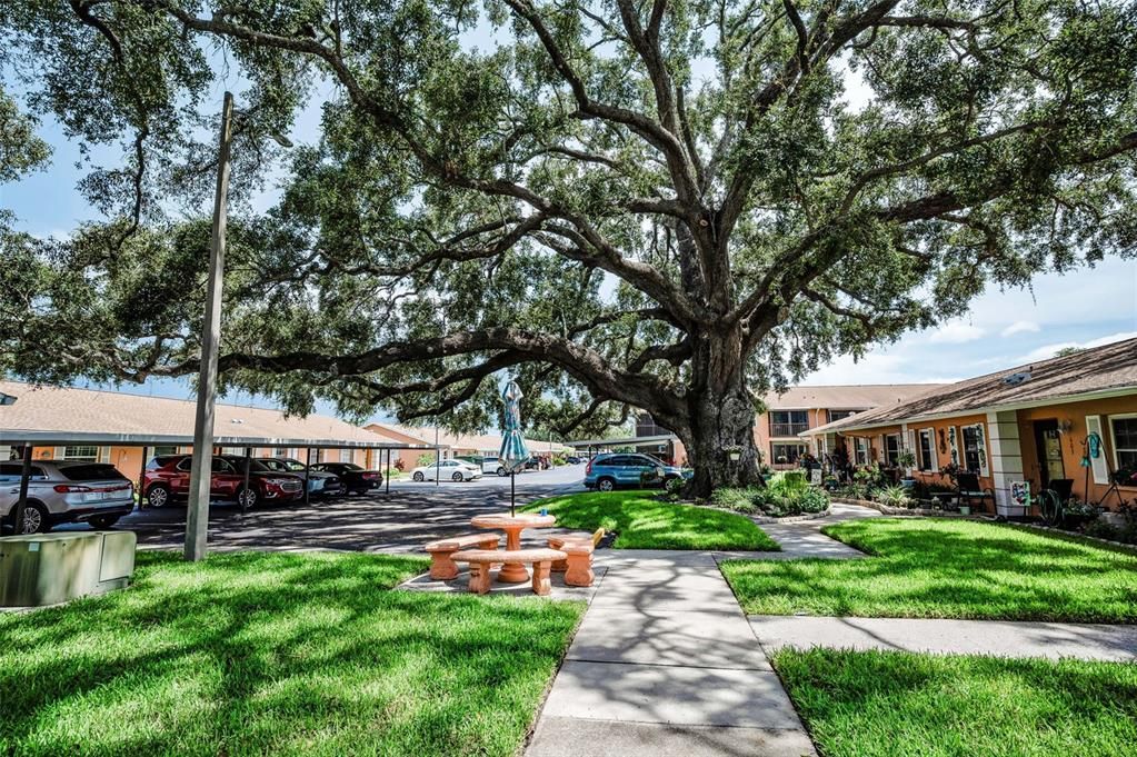 Activo con contrato: $170,000 (2 camas, 2 baños, 900 Pies cuadrados)