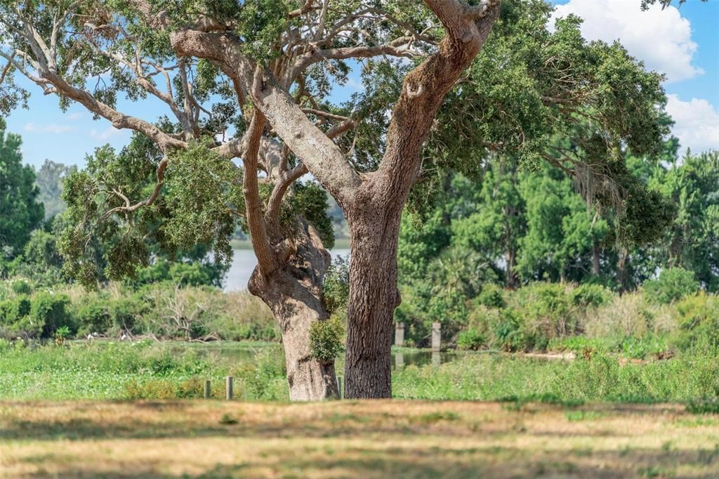 For Sale: $765,900 (1.52 acres)