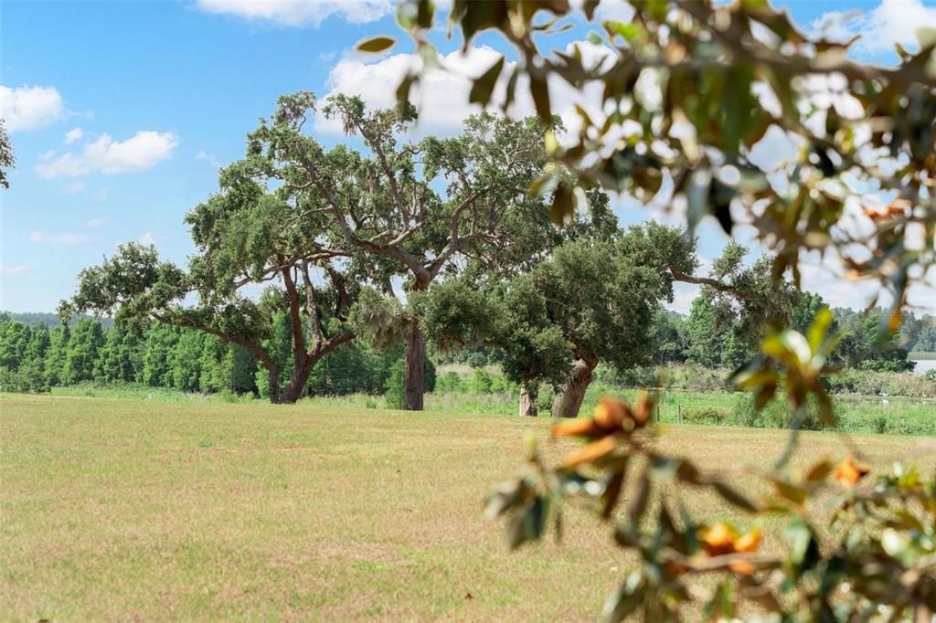 For Sale: $765,900 (1.52 acres)