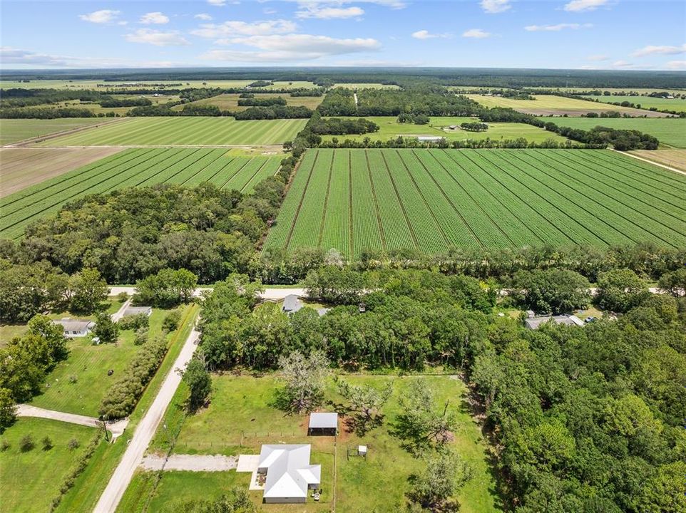 For Sale: $550,000 (5 beds, 3 baths, 3415 Square Feet)