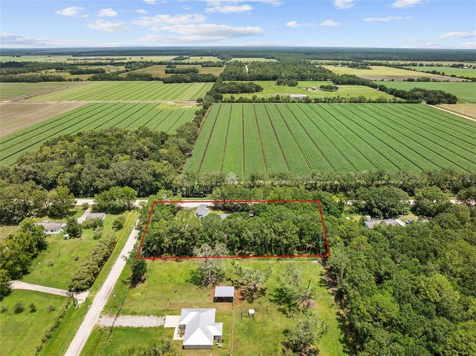 For Sale: $550,000 (5 beds, 3 baths, 3415 Square Feet)