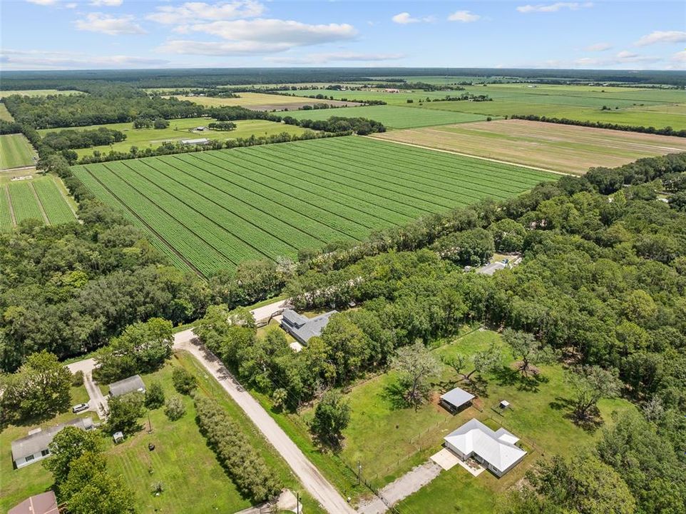 For Sale: $550,000 (5 beds, 3 baths, 3415 Square Feet)