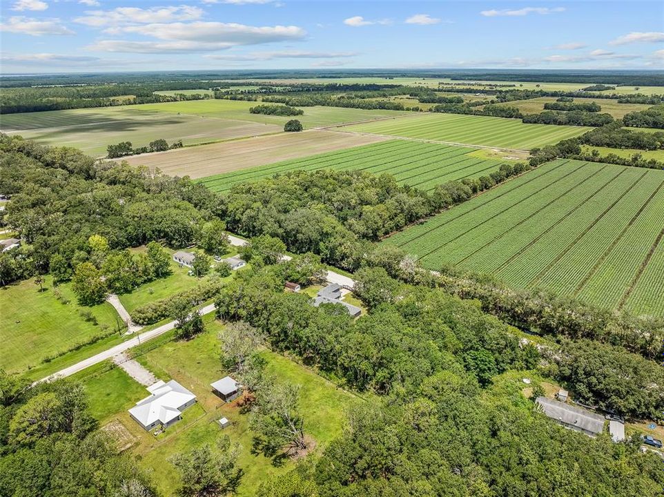 For Sale: $550,000 (5 beds, 3 baths, 3415 Square Feet)