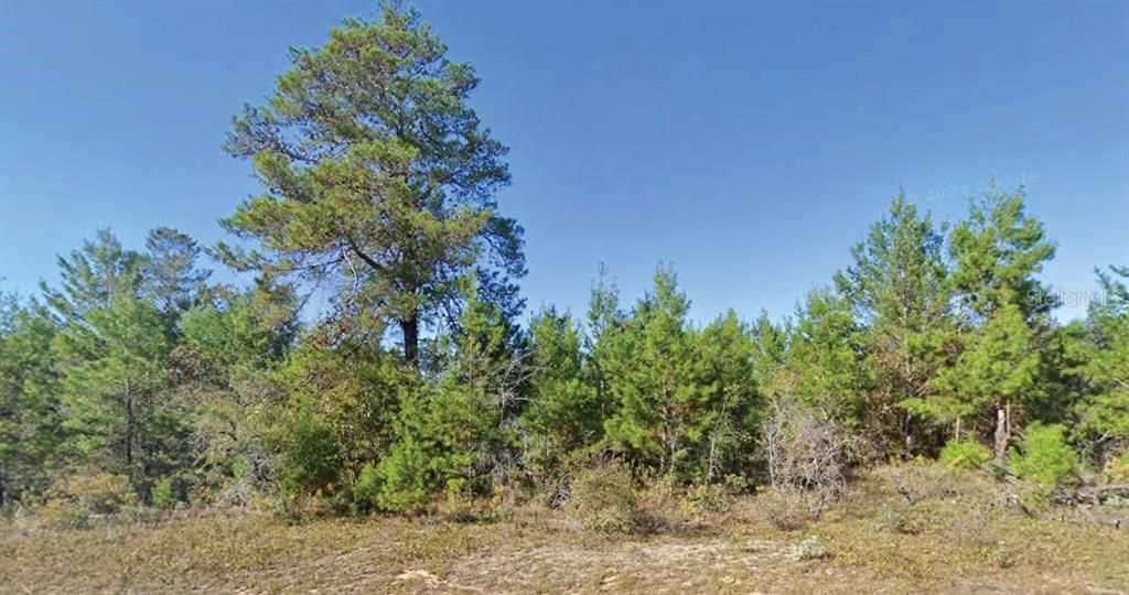 For Sale: $17,000 (0.23 acres)