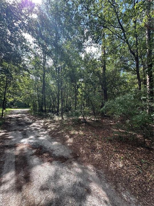 待售: $12,000 (0.34 acres)