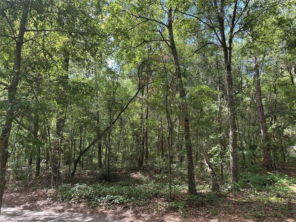 待售: $12,000 (0.34 acres)