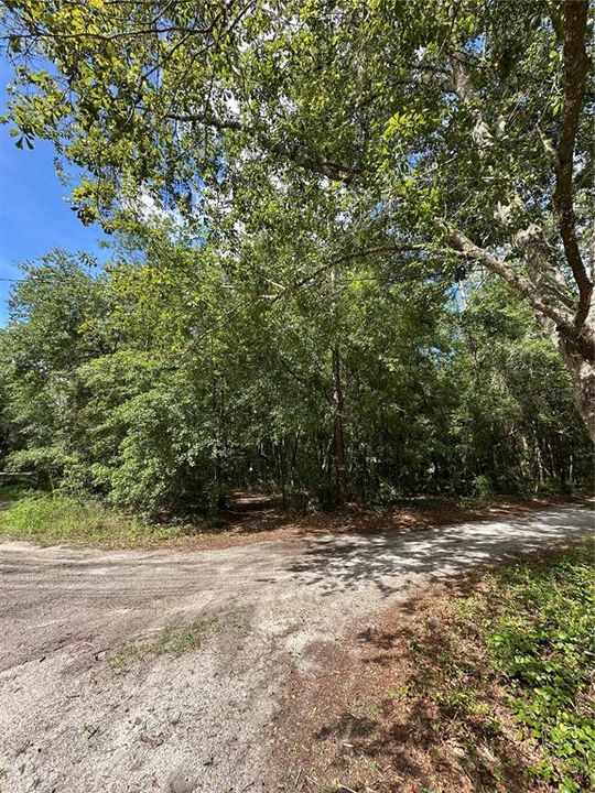 待售: $12,000 (0.34 acres)