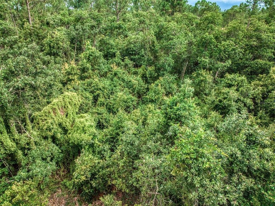 На продажу: $35,000 (0.23 acres)