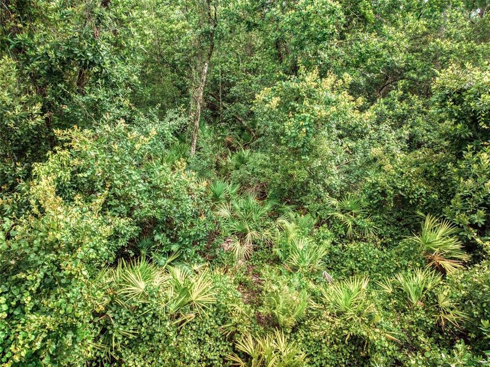 На продажу: $35,000 (0.23 acres)