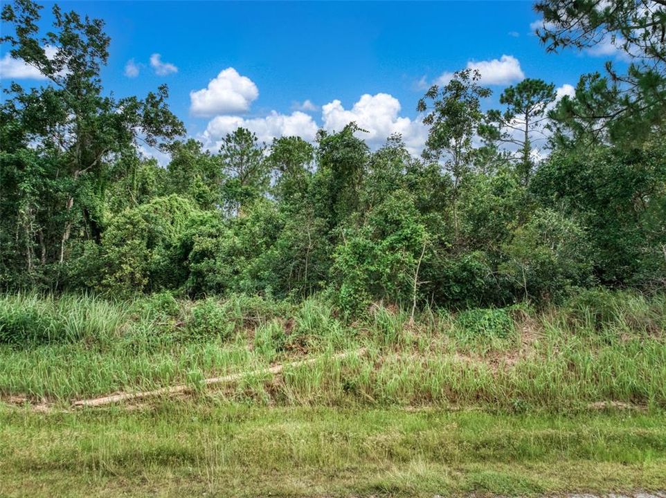 На продажу: $35,000 (0.23 acres)