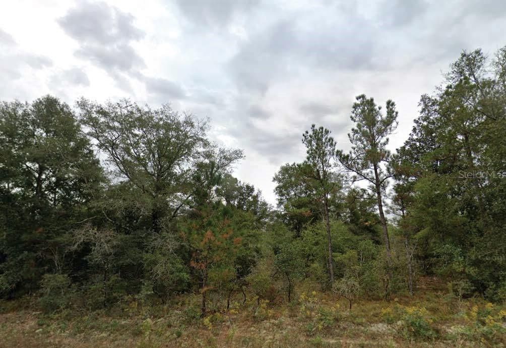 For Sale: $10,000 (0.23 acres)