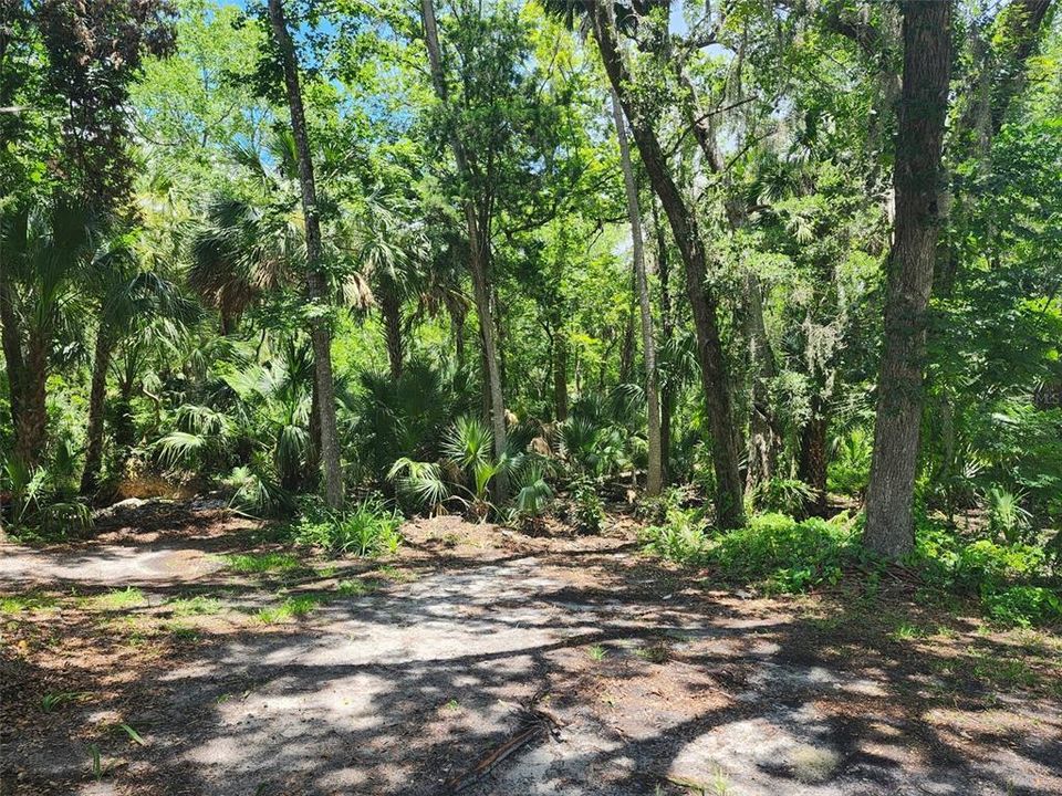 En Venta: $170,000 (2 camas, 2 baños, 1188 Pies cuadrados)