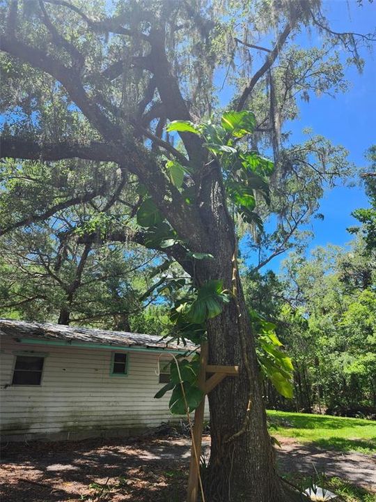 En Venta: $170,000 (2 camas, 2 baños, 1188 Pies cuadrados)