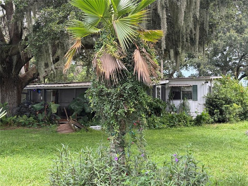 最近售出: $80,000 (3 贝兹, 2 浴室, 1288 平方英尺)