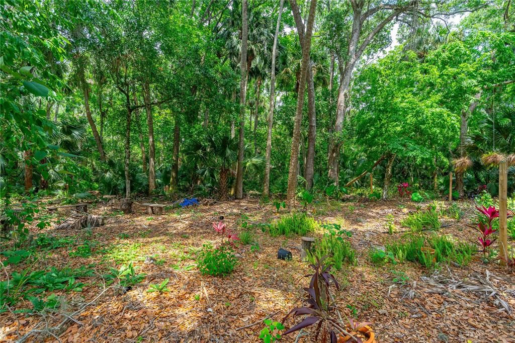 合同活跃: $250,000 (1.45 acres)