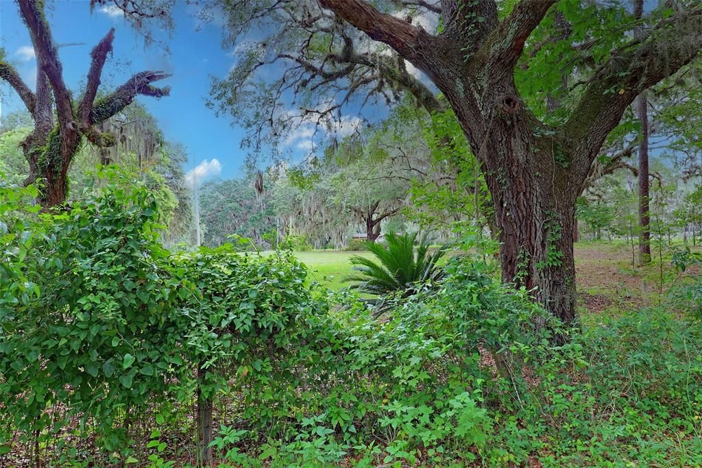En Venta: $450,000 (12.55 acres)