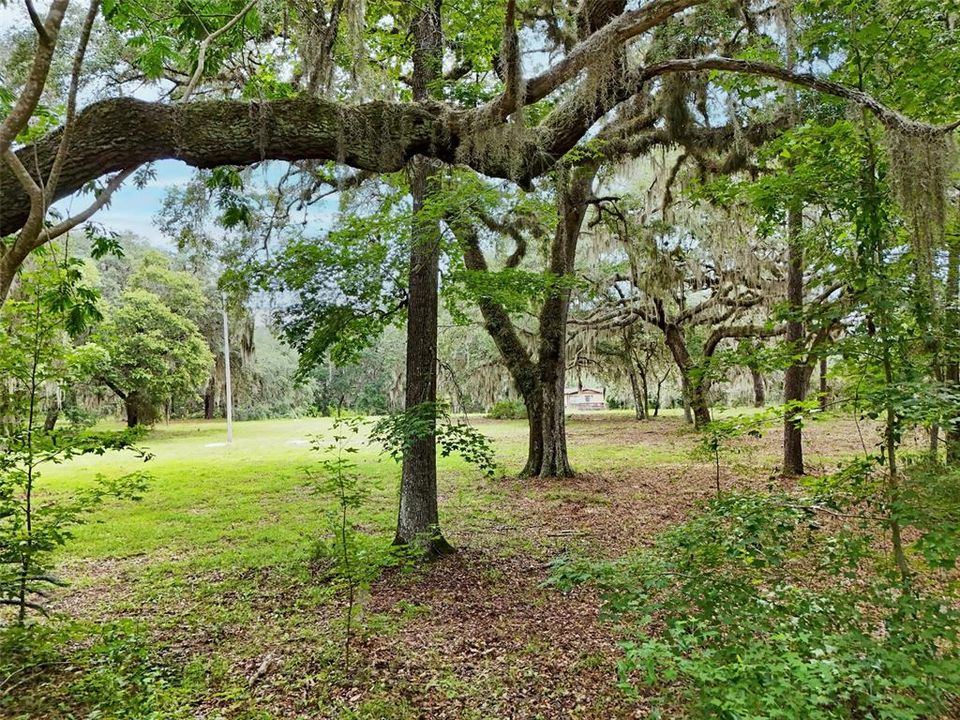 En Venta: $450,000 (12.55 acres)