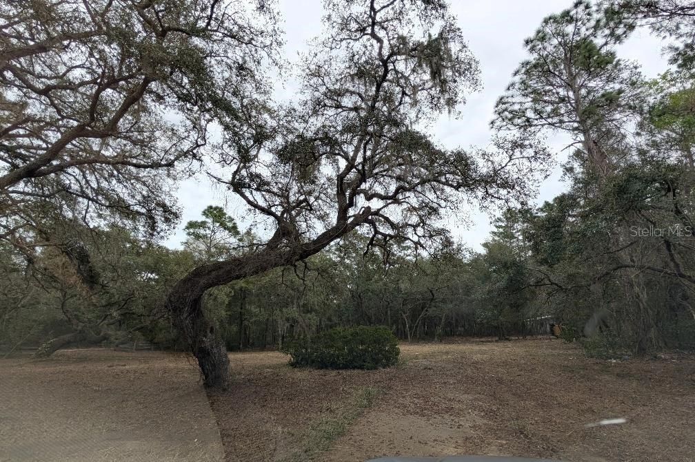 На продажу: $99,900 (1.58 acres)