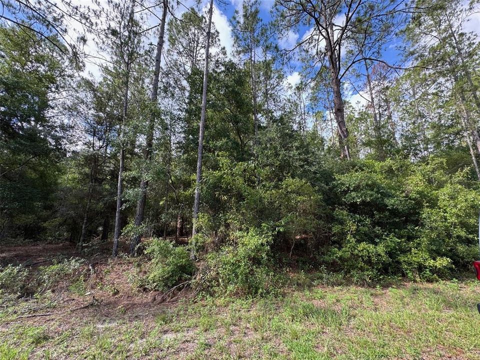 For Sale: $14,900 (0.24 acres)