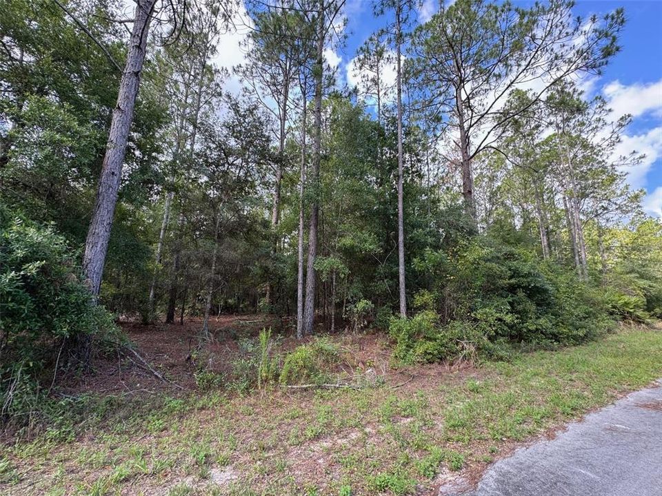 For Sale: $14,900 (0.24 acres)