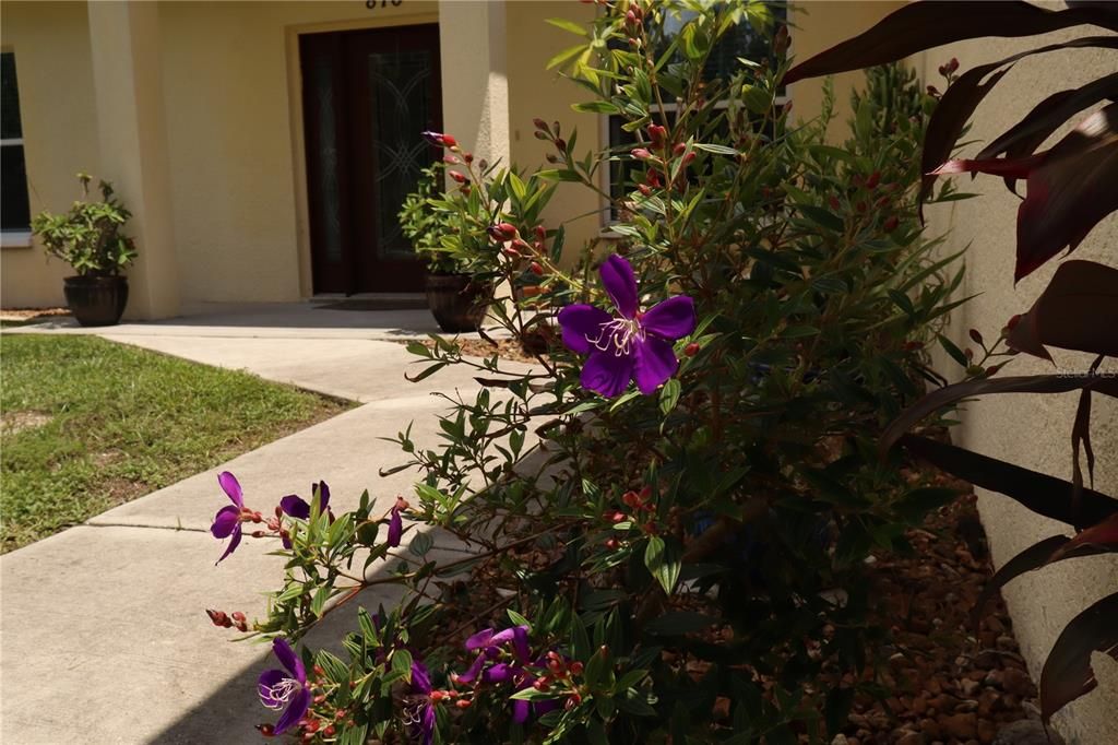 На продажу: $412,000 (3 спален, 2 ванн, 1728 Квадратных фут)