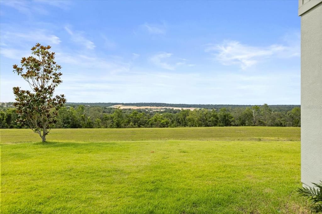 View from backyard