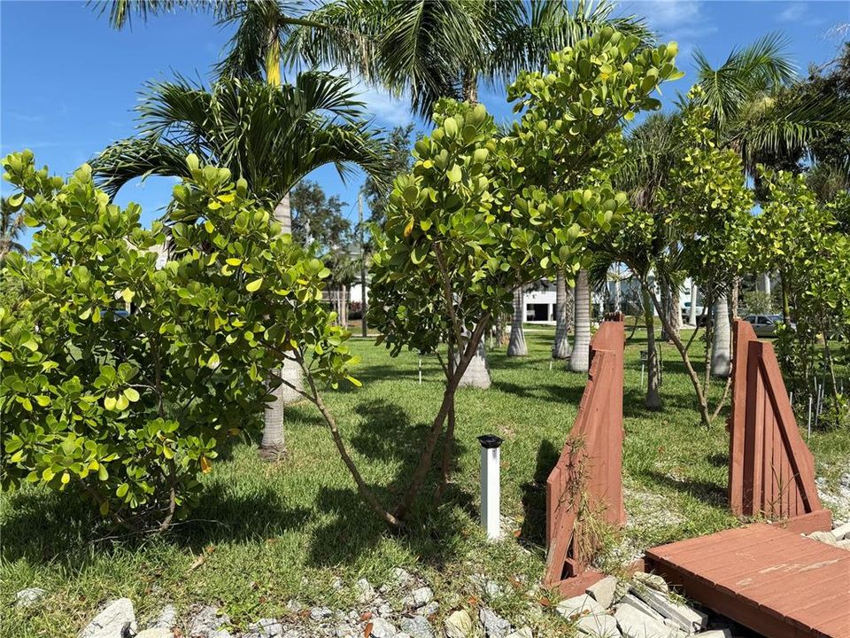 En Venta: $450,000 (0.23 acres)