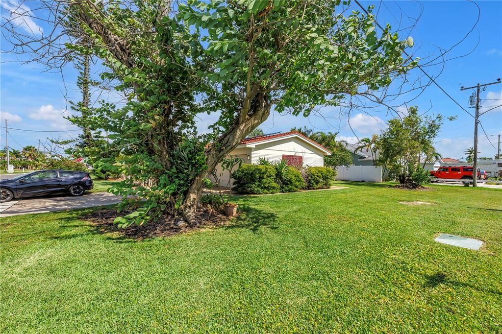 待售: $770,000 (3 贝兹, 2 浴室, 1515 平方英尺)